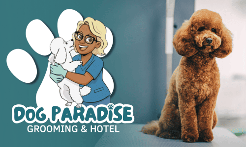 Dog Paradise Grooming & Hotel